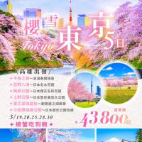 櫻雪東京5日
