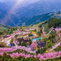 新竹山上人家森林農場賞櫻2日(高鐵)